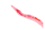 blob.png