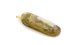 blob.png
