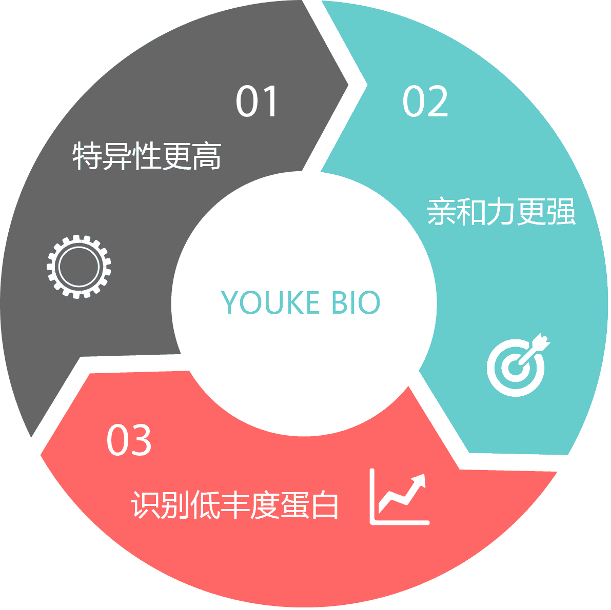 抗原親和純化特色.gif