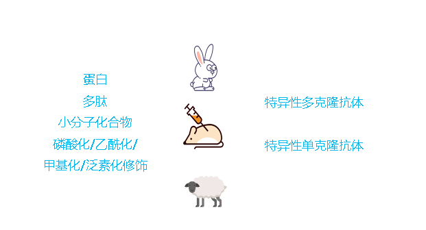 未標題-1213.gif