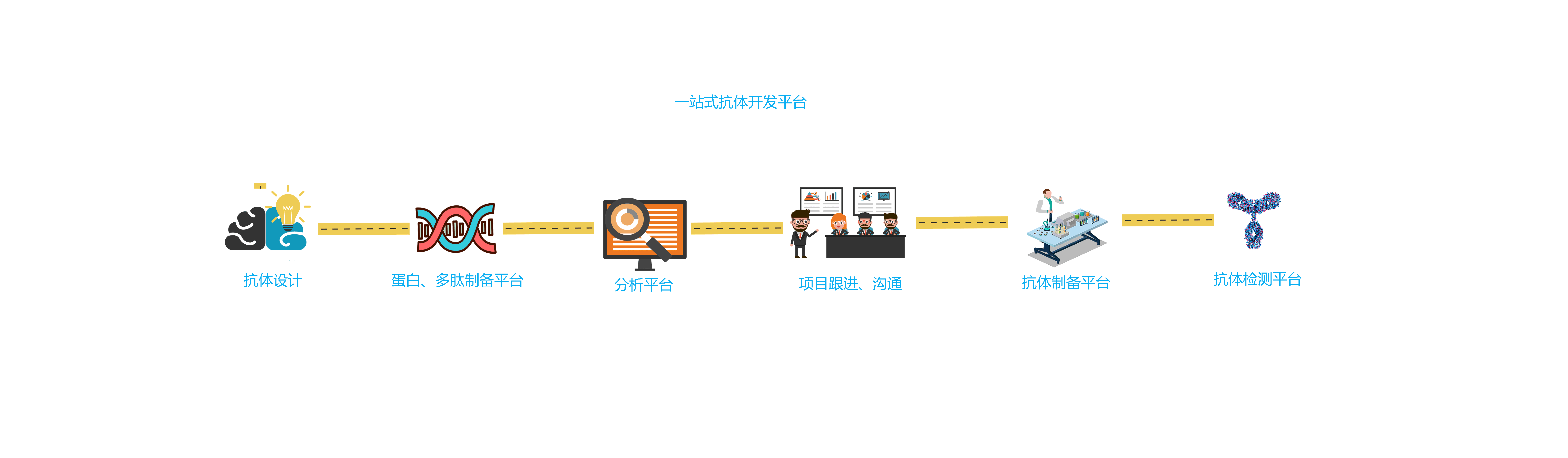 蛋白相互作用