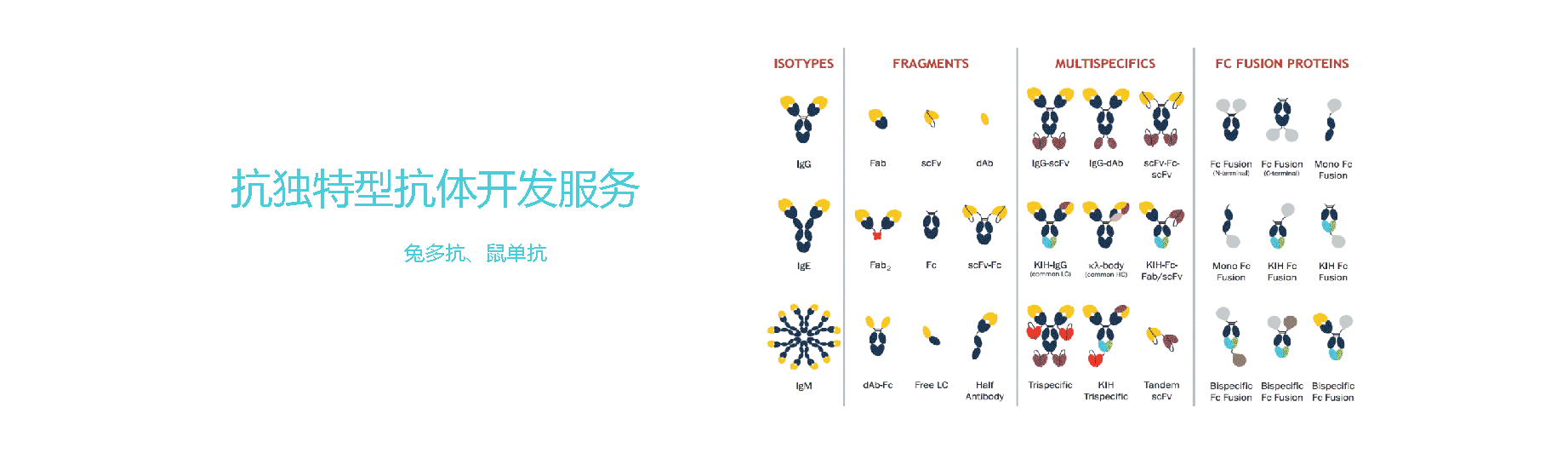 原核蛋白表達