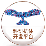 科研抗體平臺