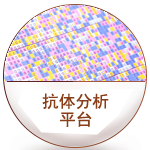 分析平臺